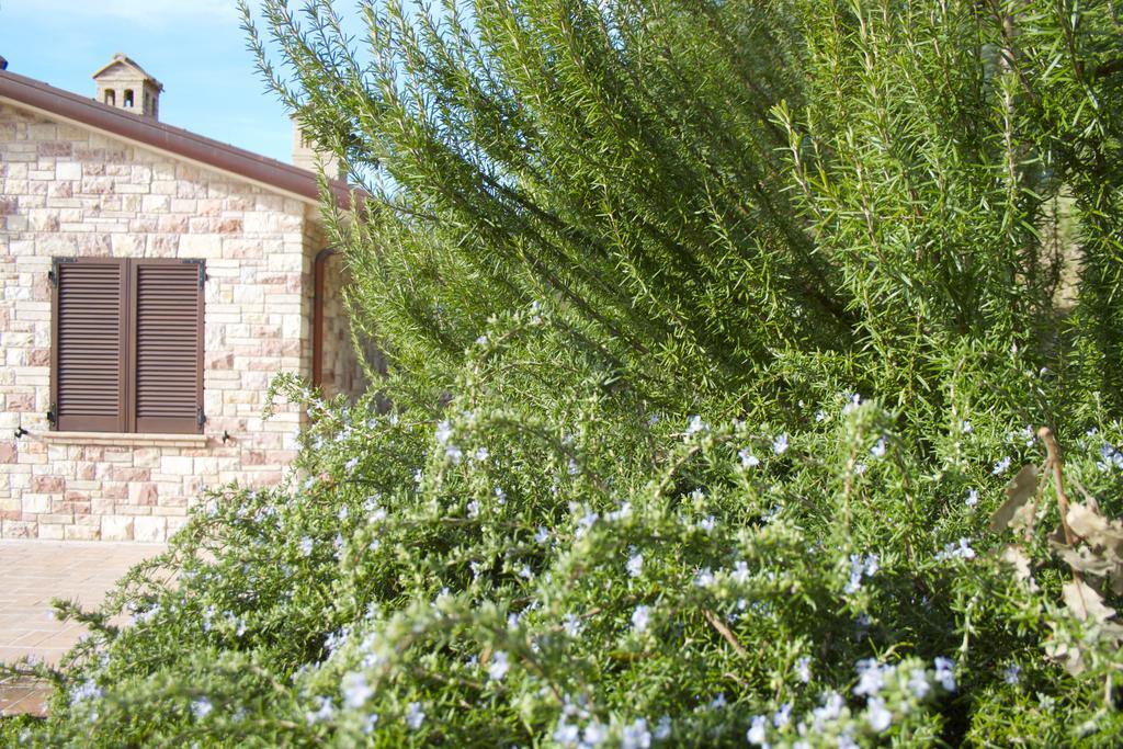 אסיסי B&B Lavanda E Rosmarino מראה חיצוני תמונה