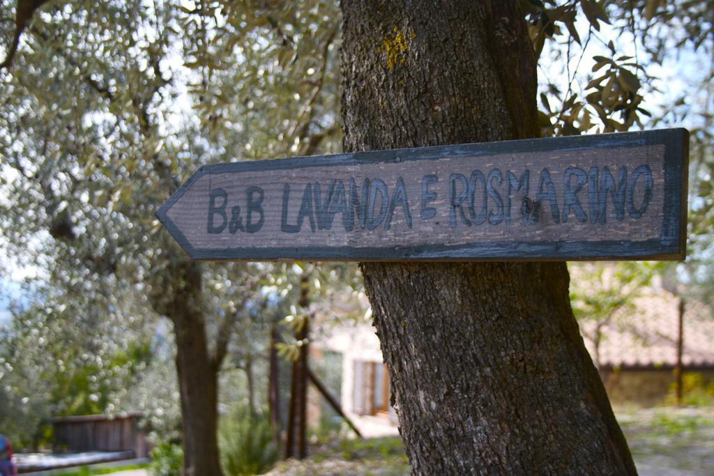 אסיסי B&B Lavanda E Rosmarino מראה חיצוני תמונה