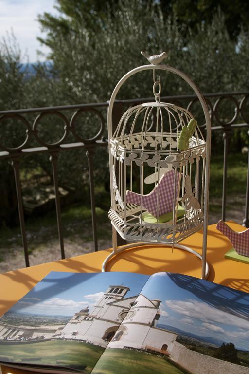 אסיסי B&B Lavanda E Rosmarino מראה חיצוני תמונה