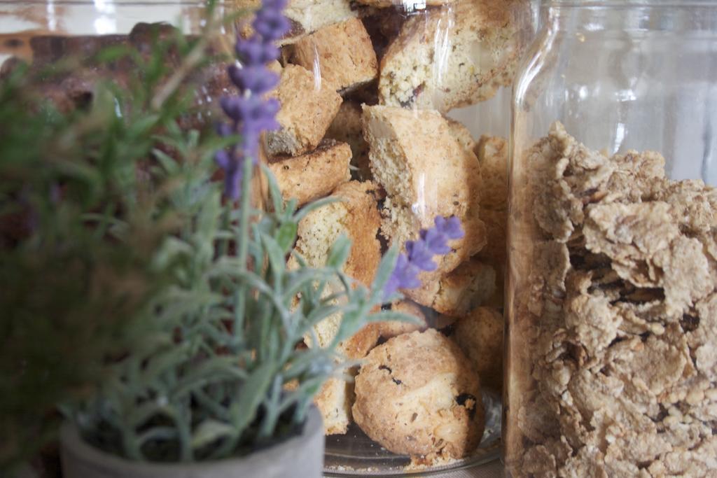 אסיסי B&B Lavanda E Rosmarino מראה חיצוני תמונה