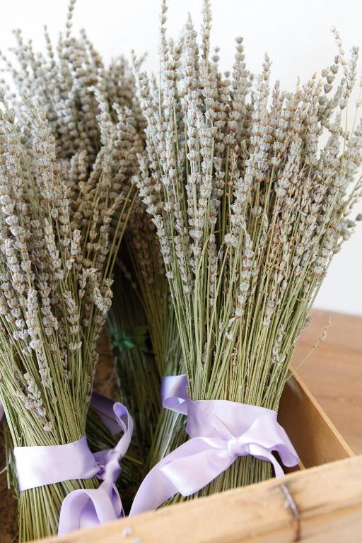אסיסי B&B Lavanda E Rosmarino מראה חיצוני תמונה