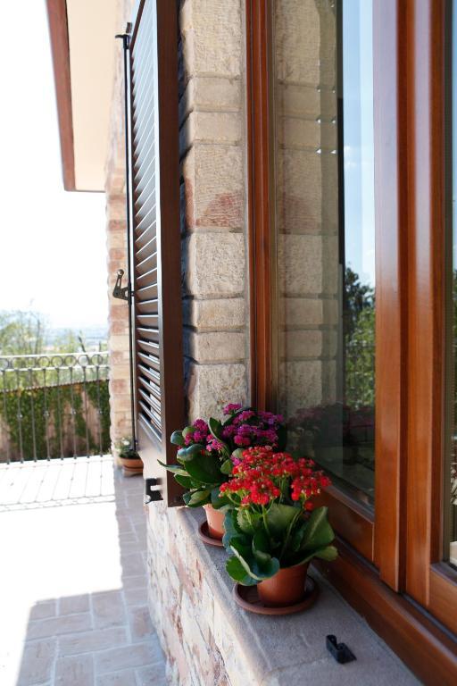 אסיסי B&B Lavanda E Rosmarino מראה חיצוני תמונה