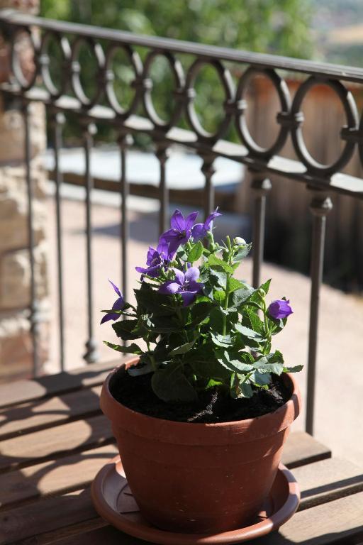 אסיסי B&B Lavanda E Rosmarino מראה חיצוני תמונה