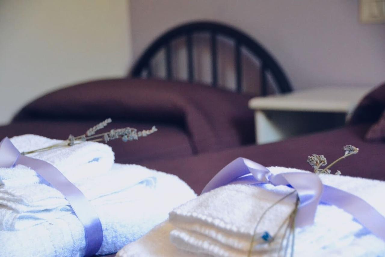 אסיסי B&B Lavanda E Rosmarino מראה חיצוני תמונה