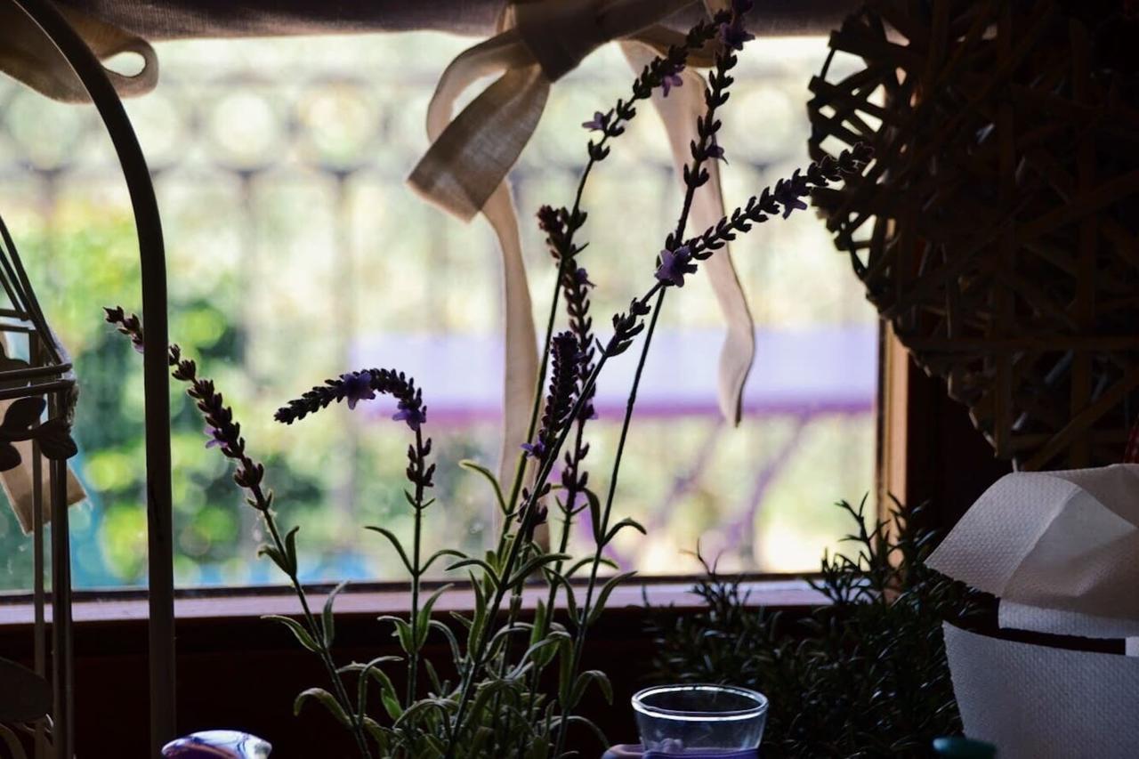 אסיסי B&B Lavanda E Rosmarino מראה חיצוני תמונה