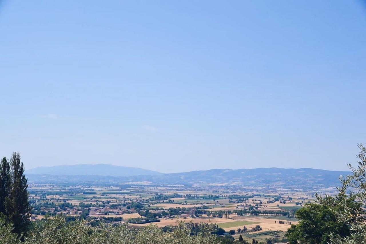 אסיסי B&B Lavanda E Rosmarino מראה חיצוני תמונה